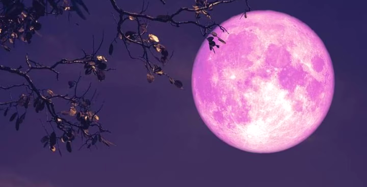Luna rosa de abril 2023: cuándo se podrá ver y por qué se llama así el fenómeno astronómico