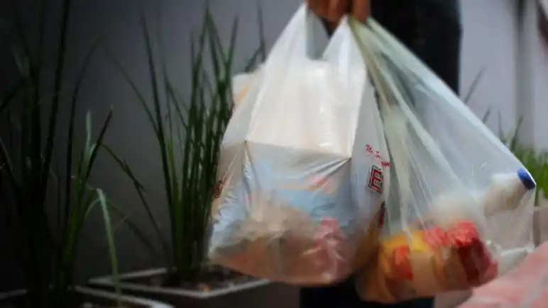 Rojas: Los comercios deberán limitar la entrega de bolsas "camiseta"