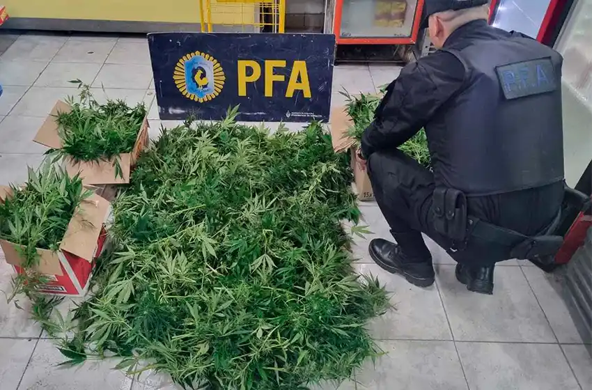 Policía Federal realizó operativo antidrogas en Santa Teresita