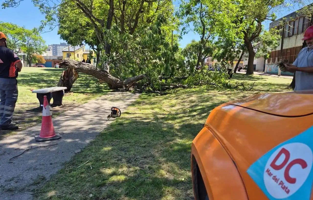 Defensa Civil tuvo que intervenir en 235 reclamos.