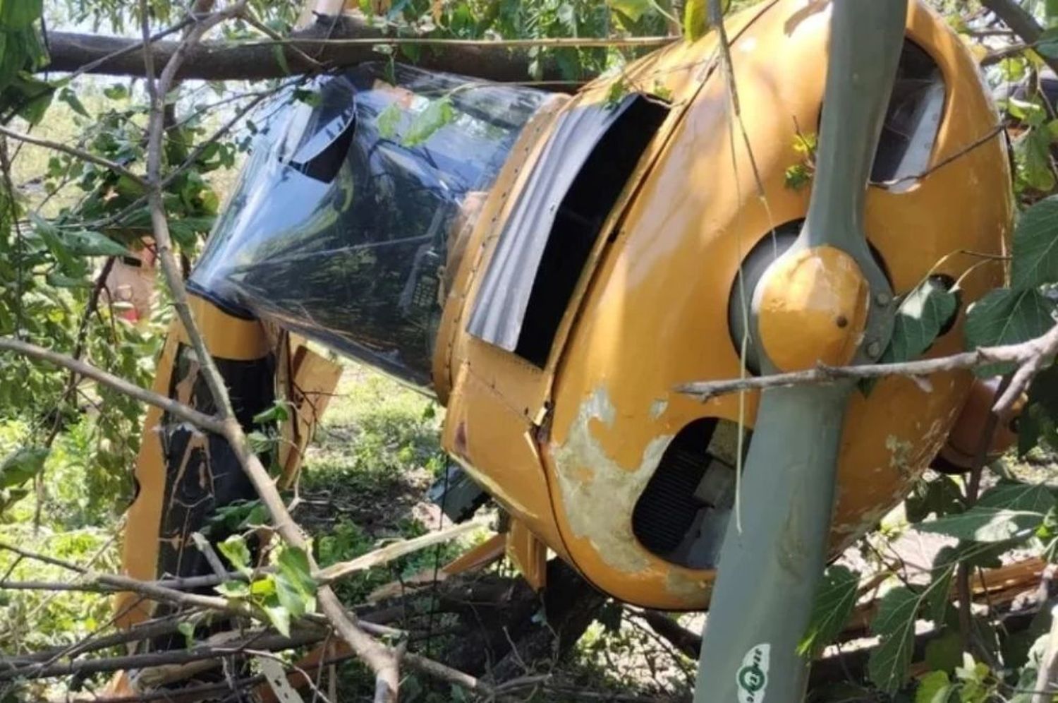 Una avioneta cayó en un club de rugby y hay dos heridos.