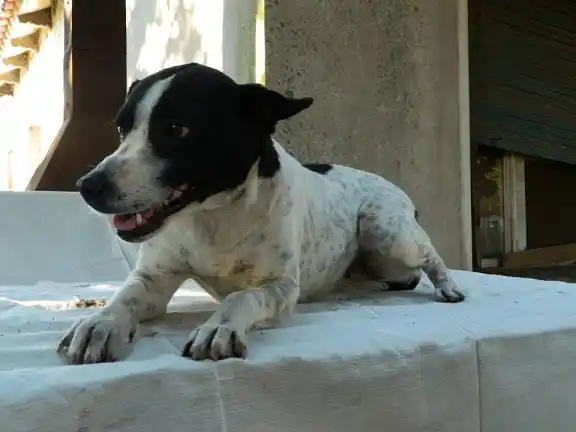 Doris merece una segunda oportunidad