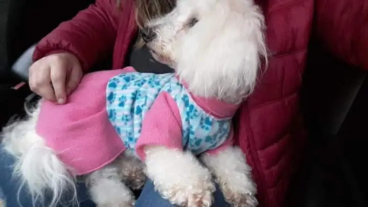 Buscan urgente a Rita