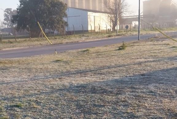 Ola de frío: persiste la alerta roja y fue otra madrugada de heladas