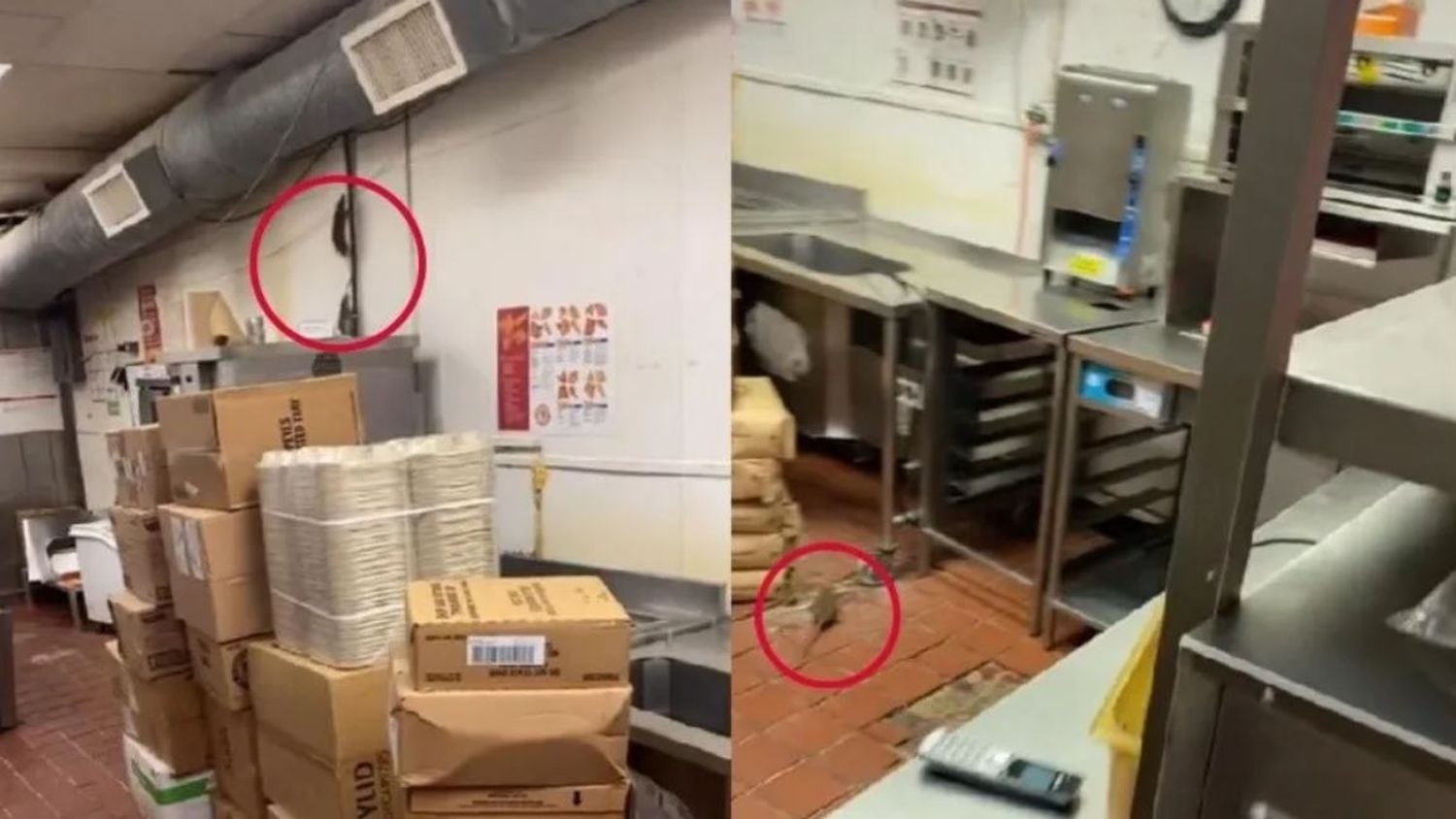 Se metió a un restaurante por la noche y lo que descubrió se volvió viral