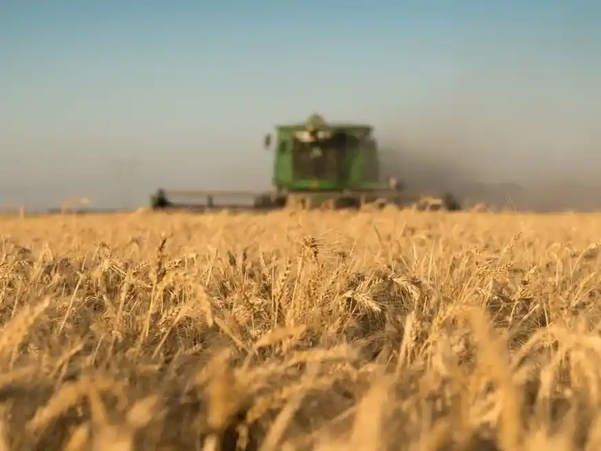 Los precios que aún se mantienen por debajo de las expectativas de la oferta.