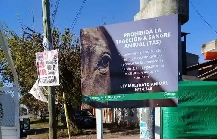 Merlo: Prohibieron la tracción a sangre en todo el distrito 