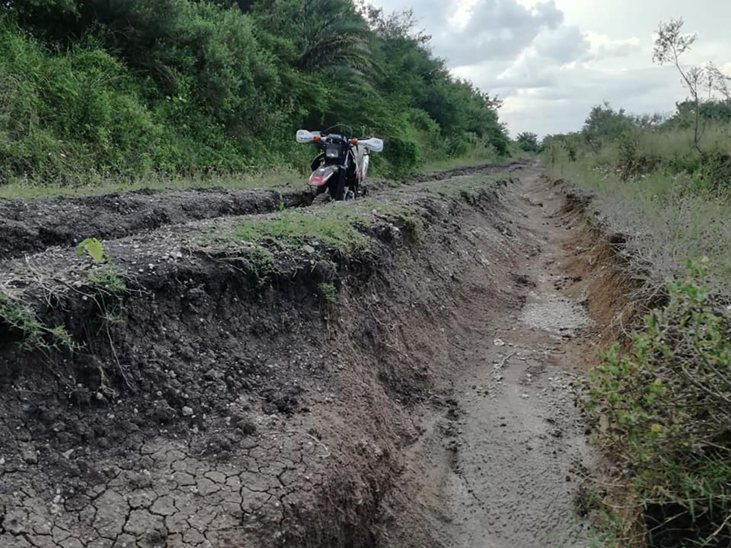 La Sociedad Rural pidió por los caminos rurales