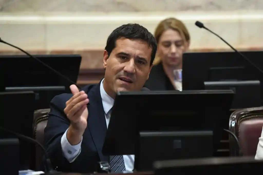 Confirmó Abad, confirmó que votará en contra del proyecto del oficialismo.