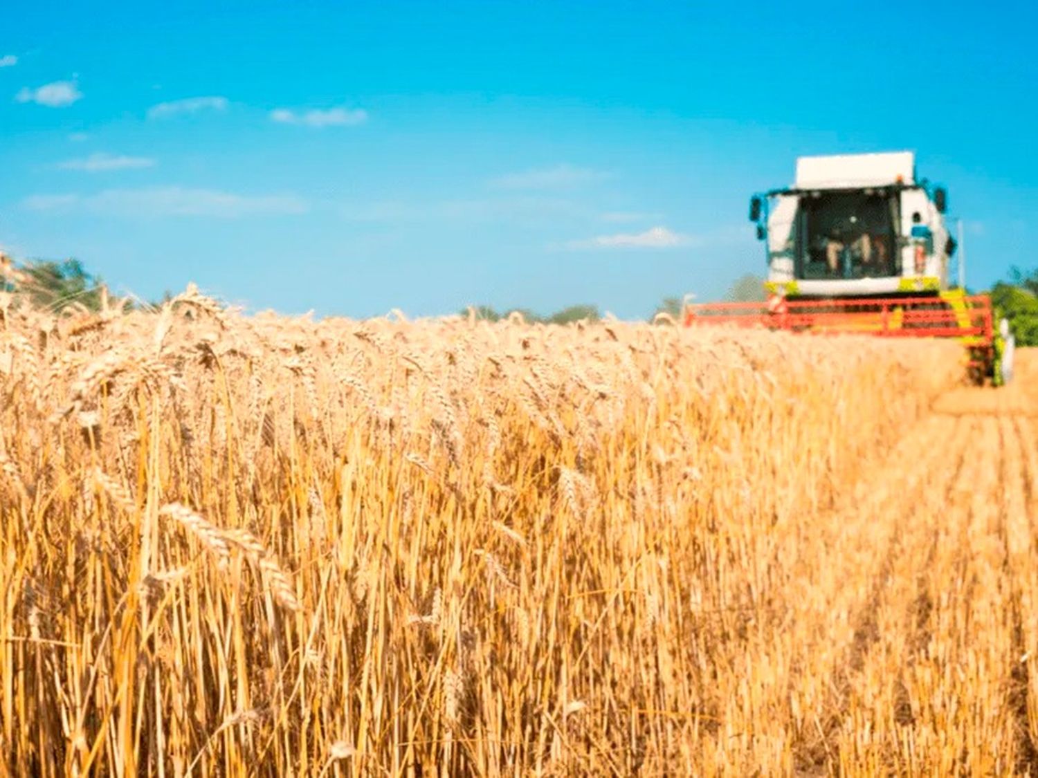 El 63,6% de la renta media nacional del agro es para pagar impuestos; pero en Entre Ríos sube un poco más