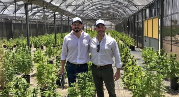 FlowerCann: El proyecto impulsado por un sampedrino que apuesta por el cannabis medicinal y cáñamo industrial