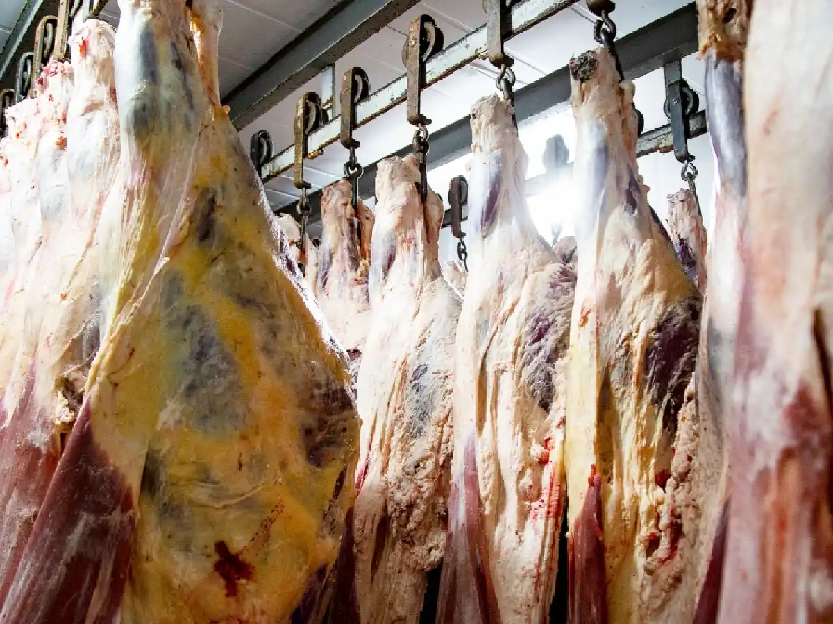El Gobierno implementará un 10% para comprar carne con tarjeta de débito