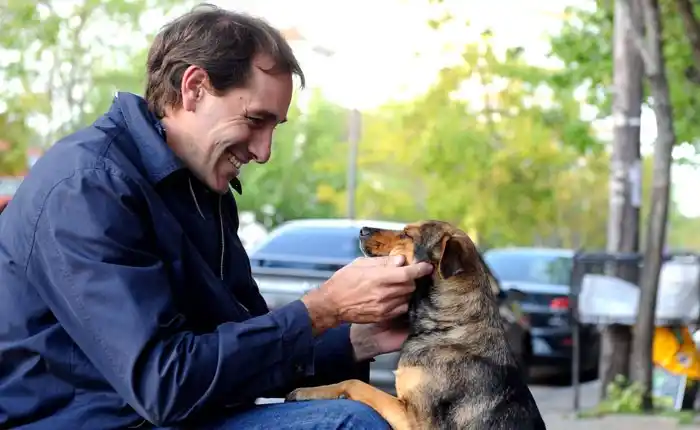 La Plata: Garro impulsa abrir consultorios veterinarios gratuitos