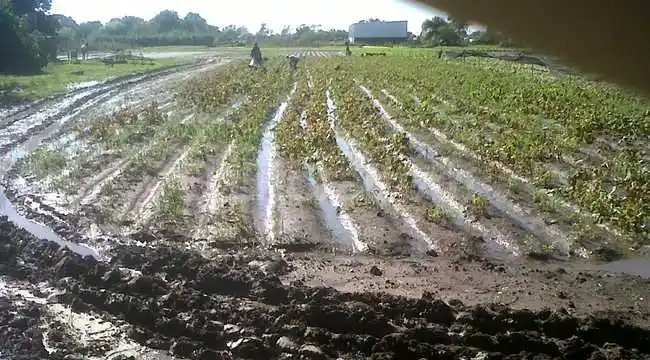 Prorrogan la emergencia hídrica por lluvias extraordinarias  