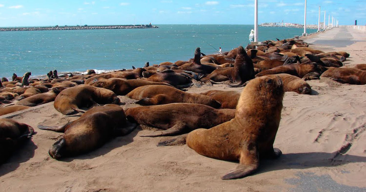 Puerto Quequén.