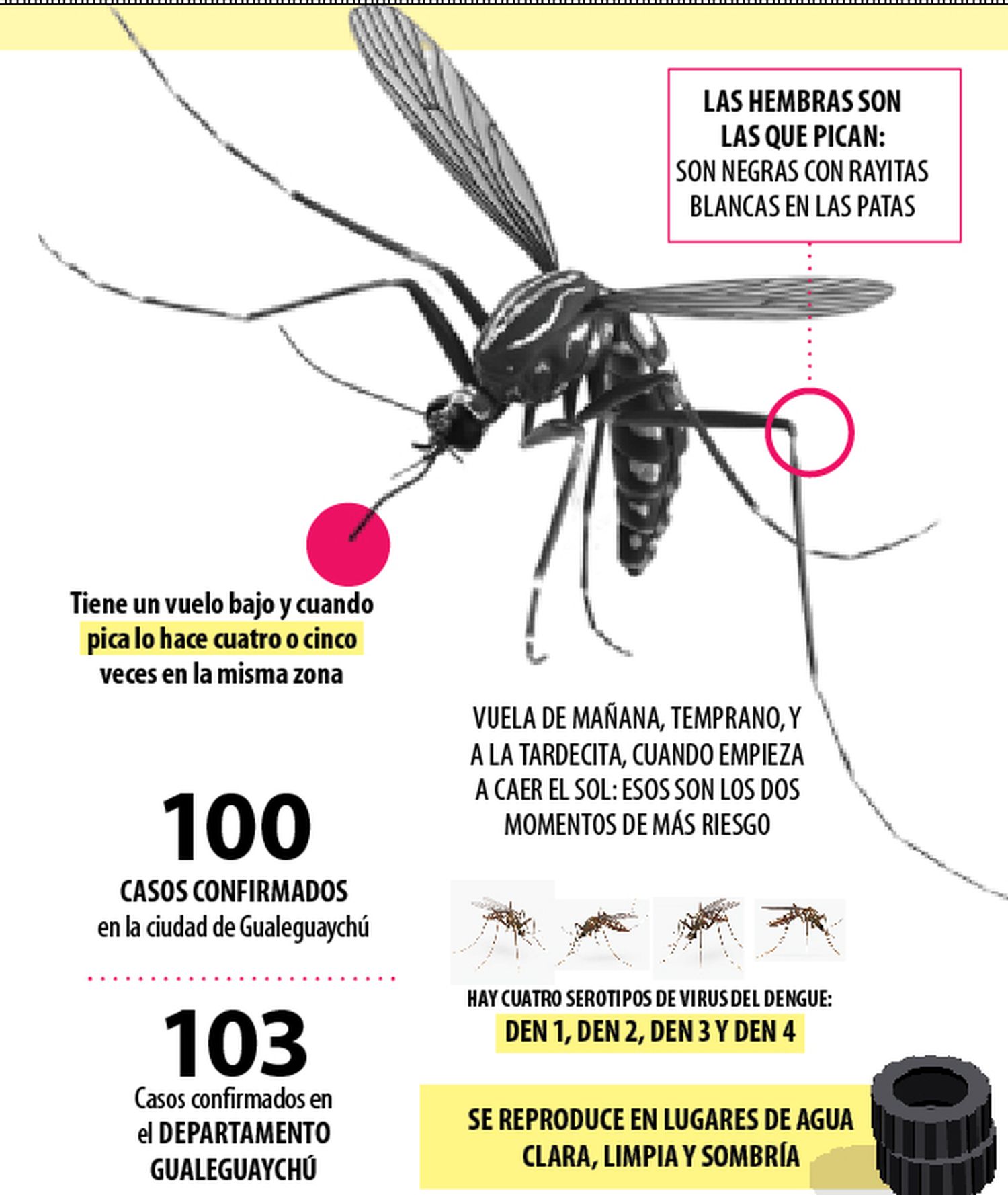 Dos nuevas fumigaciones por Dengue: Mirá en que zonas de la ciudad serán