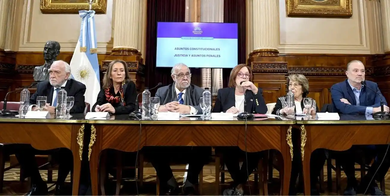 Especialistas participan en el debate del plenario de comisiones, que preside la cordobesa Alejandra Vigo. Crédito: Gentileza HSN.