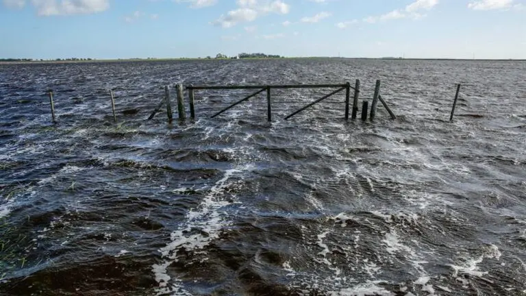 Hay un millón de hectáreas bajo agua en el corazón bonaerense
