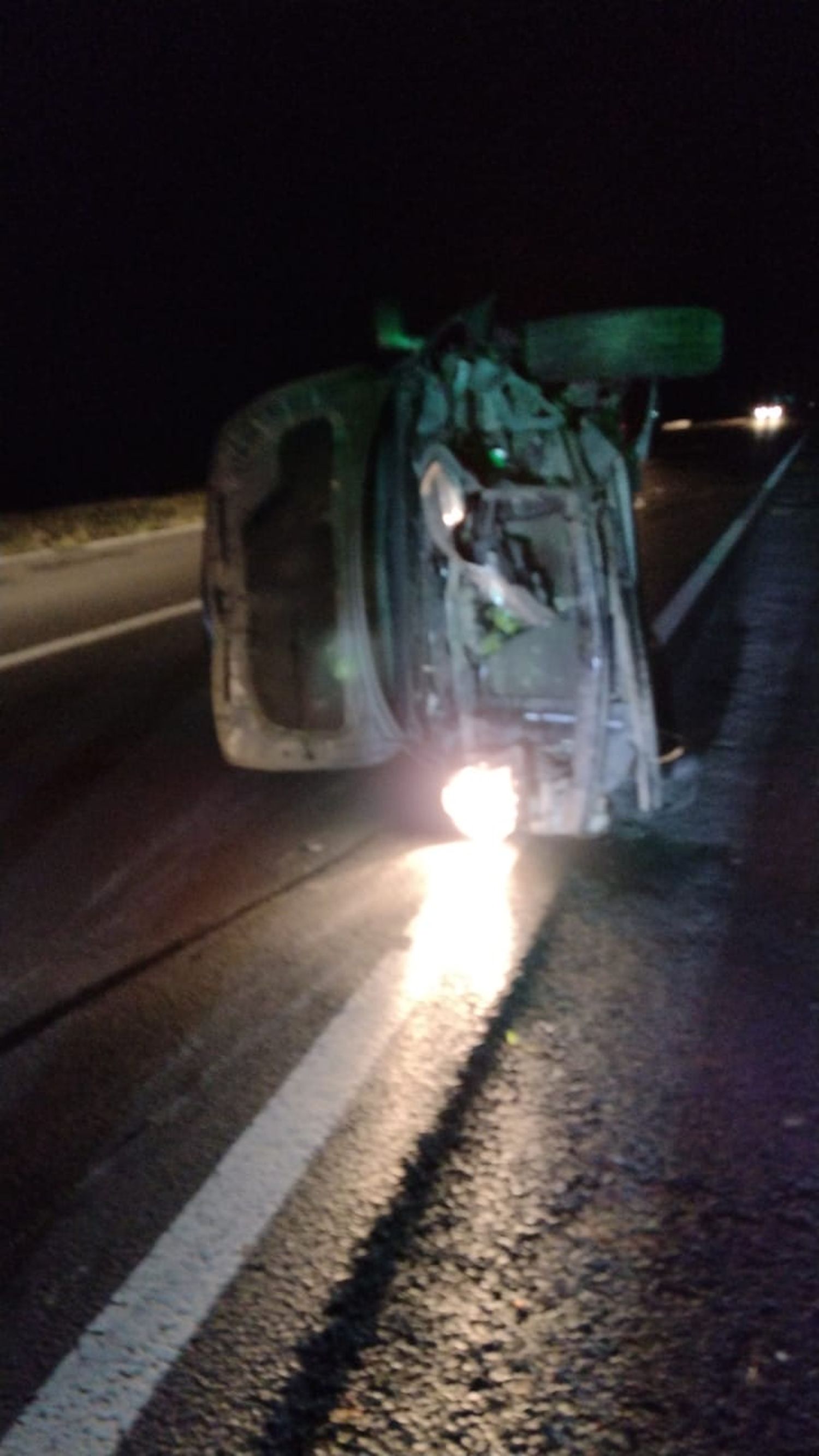 Un animal suelto en Ruta 12 casi provoca una tragedia