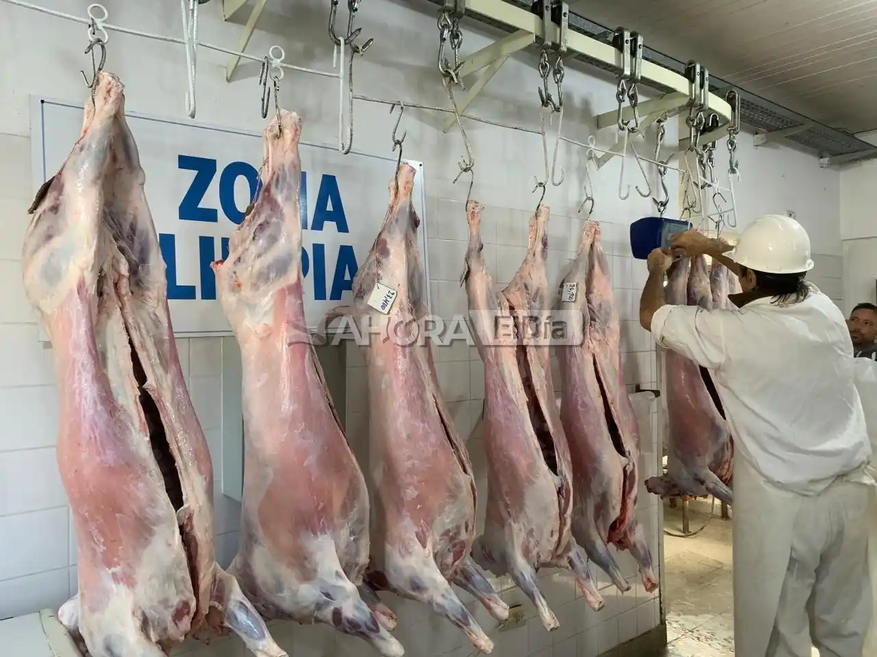 Esta semana se inaugurará la línea de producción de la planta faenadora de corderos de la UP9