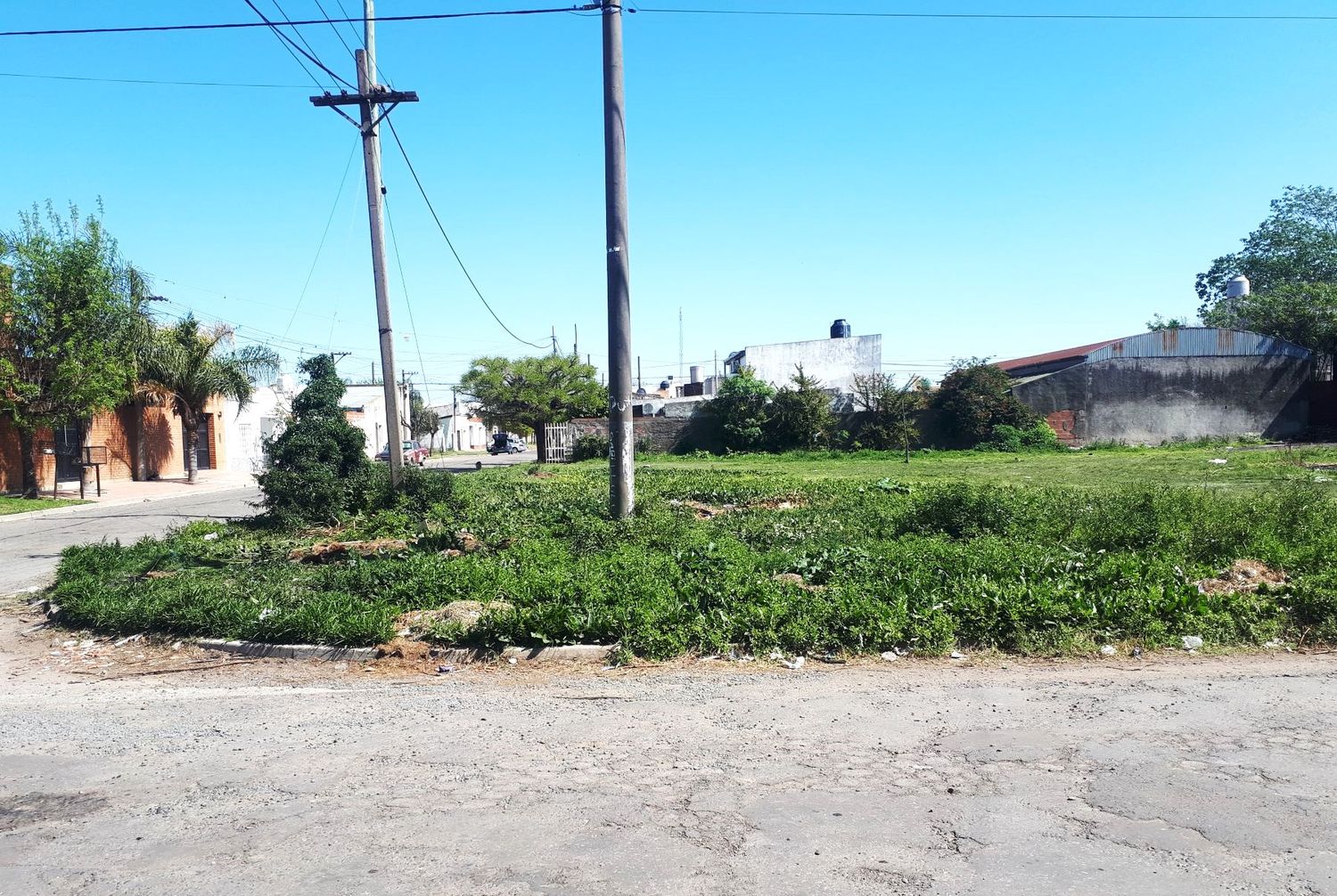 Más de $ 135 millones para mudar el jardín de la escuela Normal a un nuevo edificio