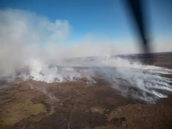 Fijaron la fecha de inicio del juicio por los incendios en el Delta del Paraná
