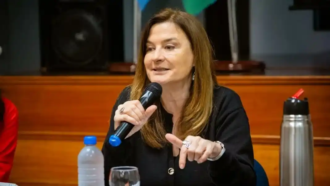 Estela Díaz sobre las denuncias en el senado: “Actuamos cuando las víctimas pidieron ayuda”