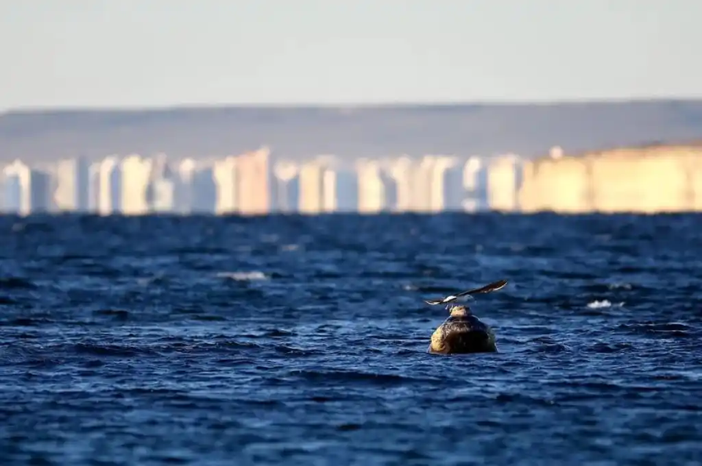 El movimiento turístico se concentró en escapadas de dos noches, con reservas de último momento.