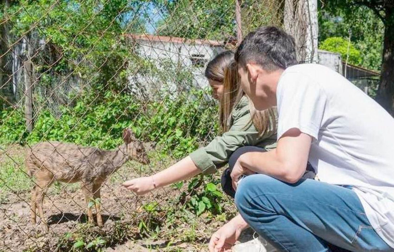 Gran demanda de pasajeros hacia la
Reserva Guaycolec en la primera semana