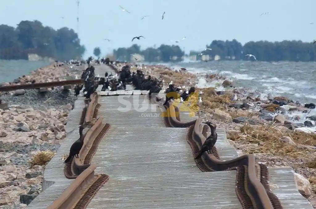 Está casi listo un tramo ferroviario del sur santafesino inutilizado durante cuatro años