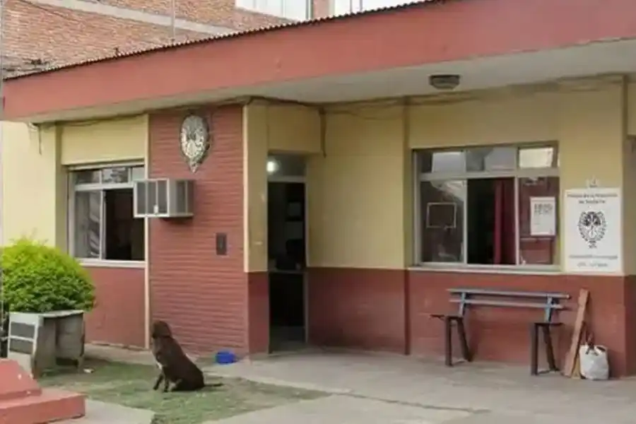 Golpeó a un policía y daño un patrullero, tras robarle a una abuela