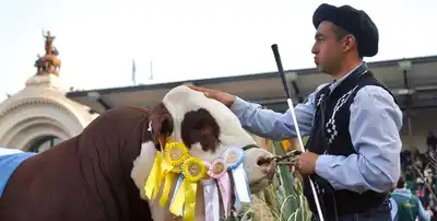 Un sector clave: qué implica que la ganadería movilice US$ 20 mil millones al año