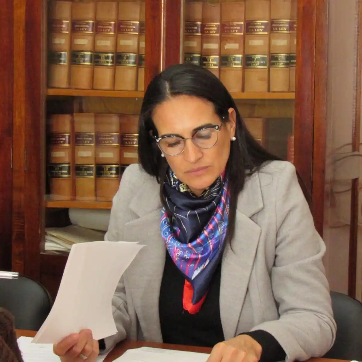 Reuniones y organización de cara a las elecciones partidarias