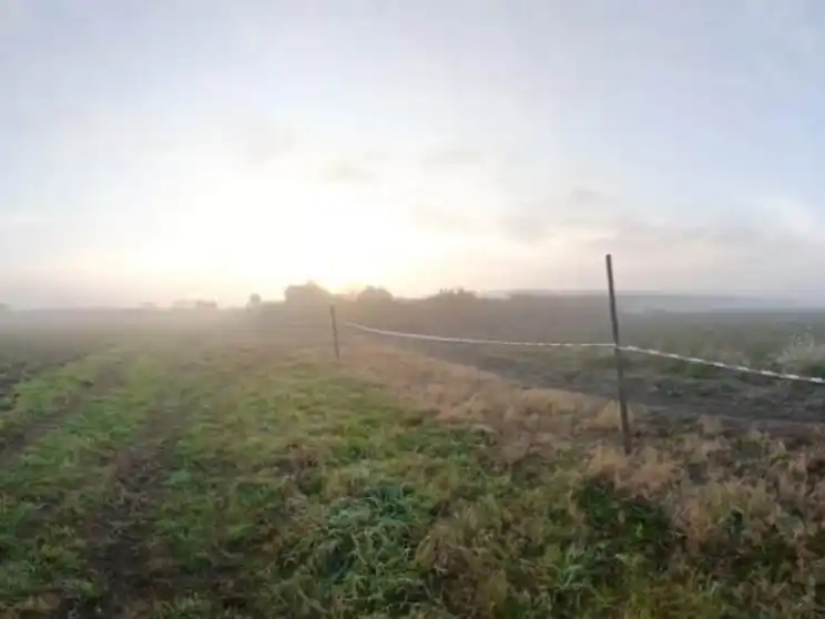 El campo donde fue descubierto el cadáver