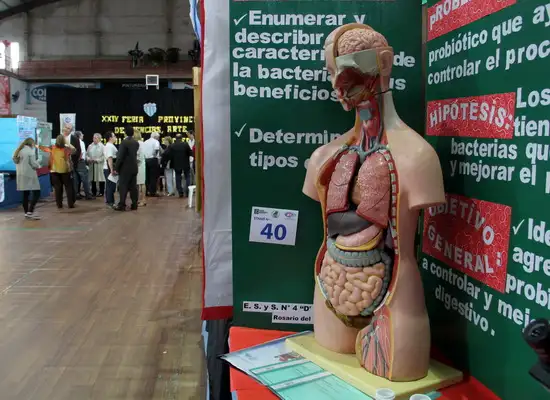 Destacaron los trabajos de la Feria departamental de Ciencia y Tecnología