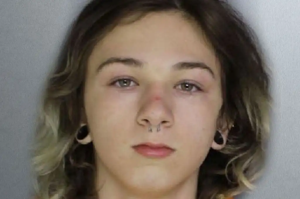 Una joven asesinó a una nena y pidió ayuda en las redes para deshacerse del cuerpo