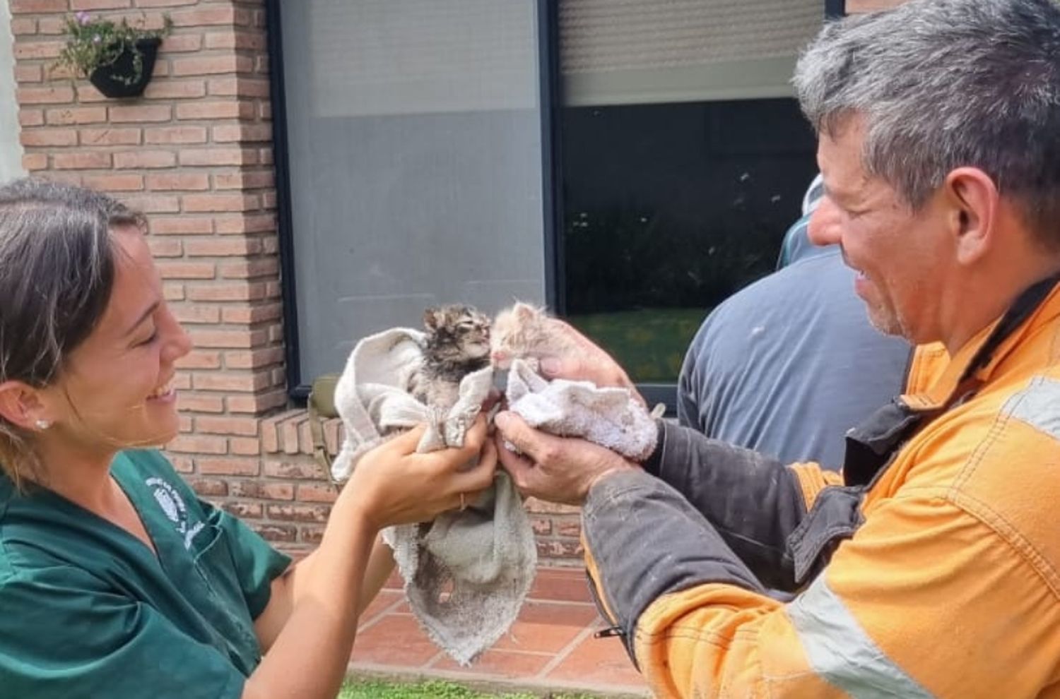 Bomberos rescataron 3 gatitos que se cayeron en un conducto pluvial