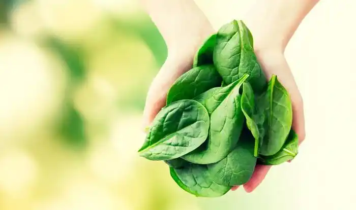 Vitamina K: Cuáles son sus beneficios y en qué superalimentos está