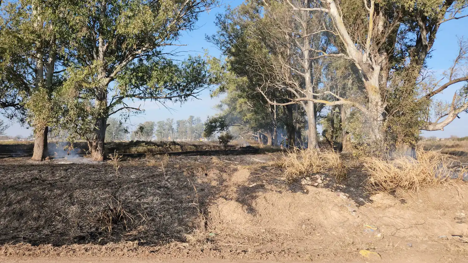 incendio bomberos zapadores fuego casa cocina vivienda rafaela pastizal pastizales seco sequia fuego - 2