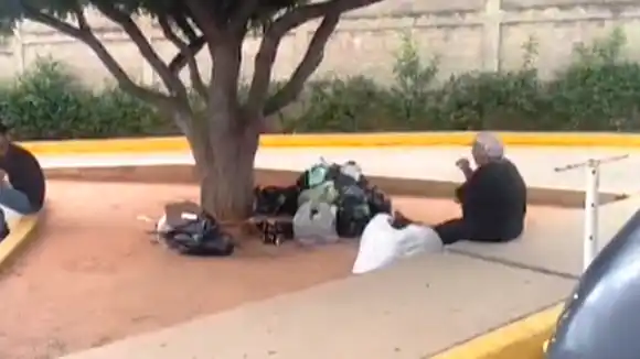 LOS ENCIERRA EN BOLSAS: denuncian a mujer en Zulia de «comer perros y gatos de la calle» (VIDEO)