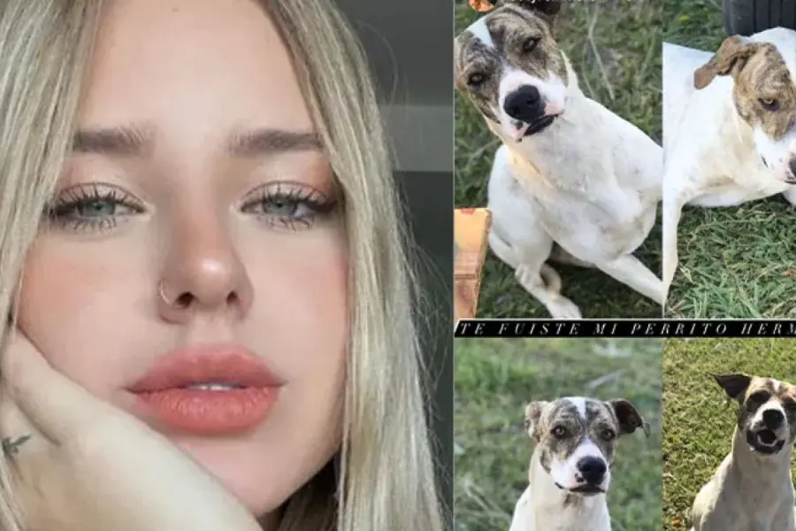 La angustia de Coti Romero por la trágica muerte de su perrito: desgarrador mensaje