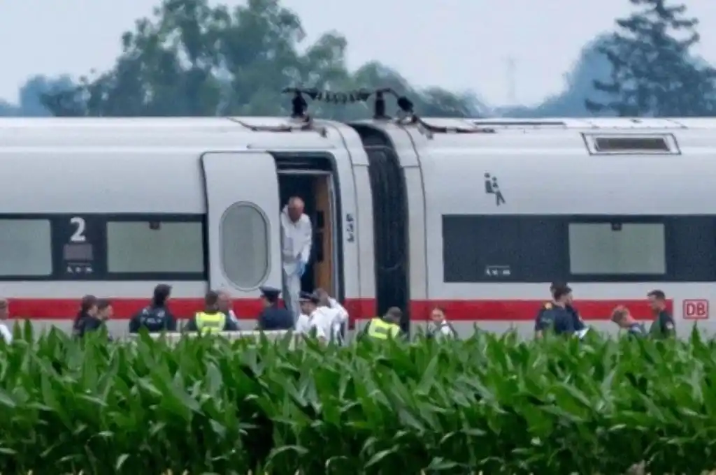 Brutal ataque en un tren