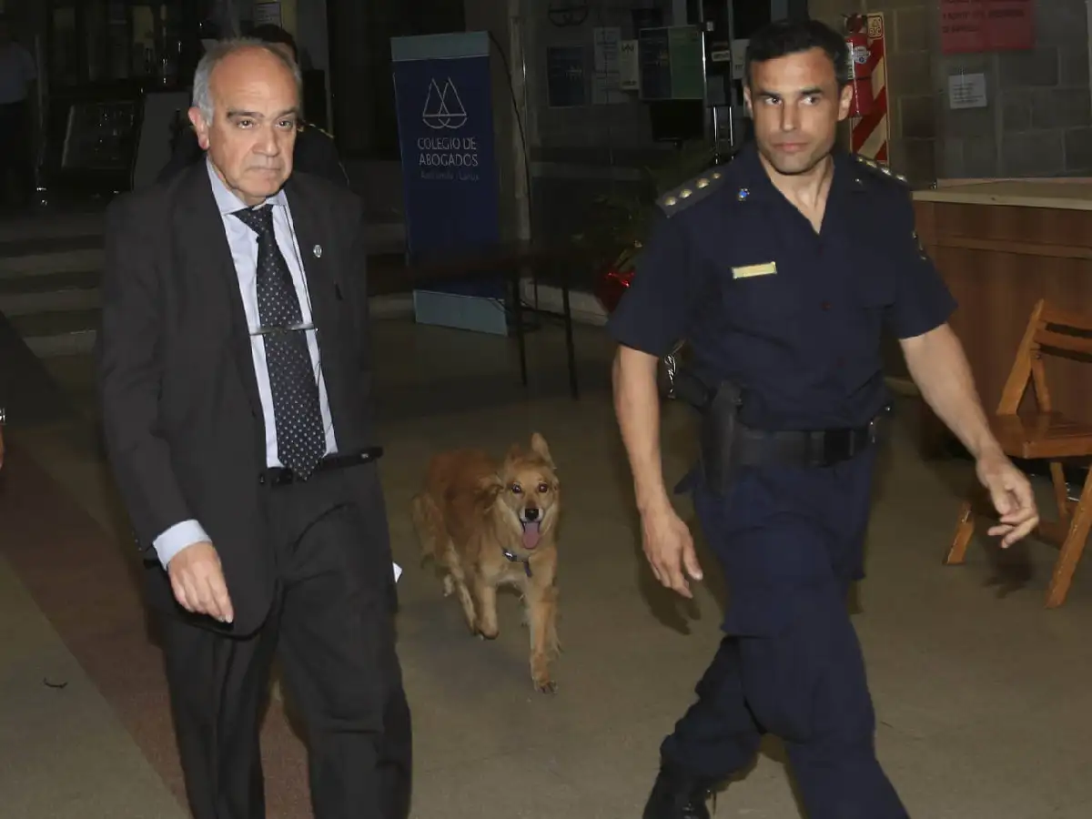 El juez rechazó el pedido para detener a Pablo Moyano