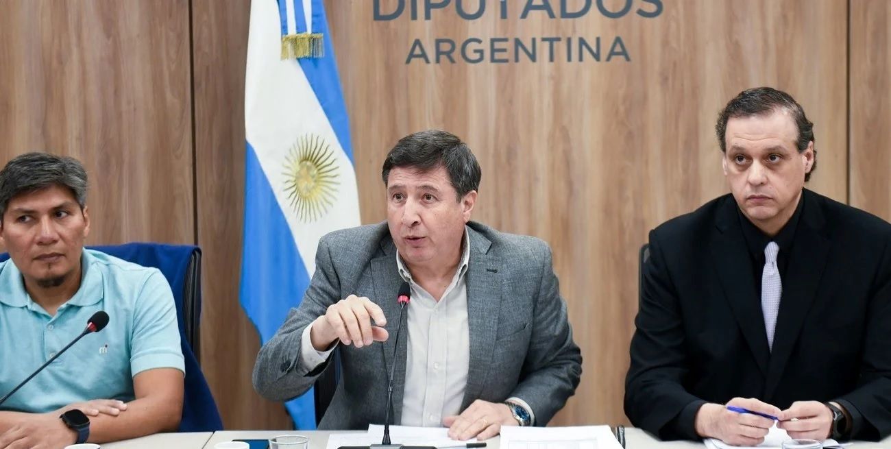 La Comisión de Discapacidad avanzó con proyectos sobre el funcionamiento de la Agencia Nacional de Discapacidad. Foto: HCDN.
