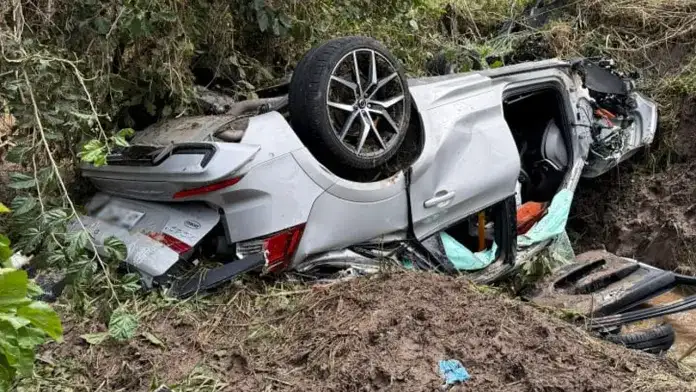 Trágico accidente en Ruta 12: murió un empresario avícola entrerriano tras un despiste