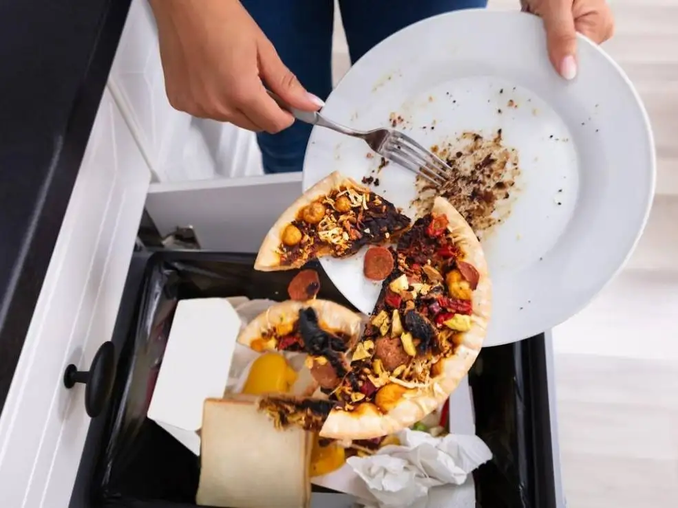 Se pierden más de 1.000 millones de toneladas de alimentos por año