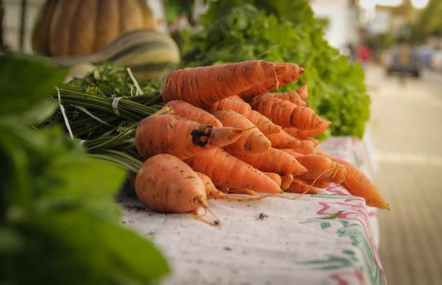 Zanahorias agroecológicas 