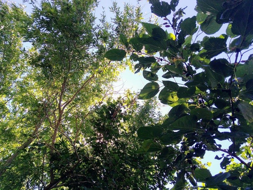 Martes fresco, pero soleado