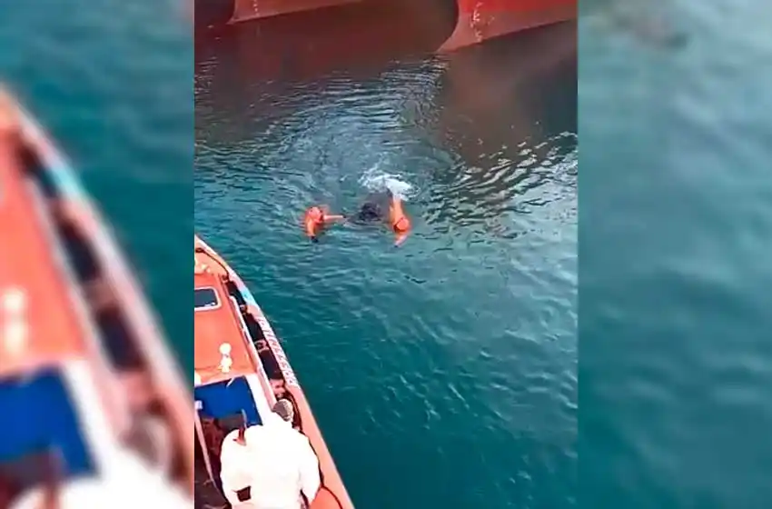 Hallaron el cuerpo de un trabajador portuario entre las terminales 2 y 3