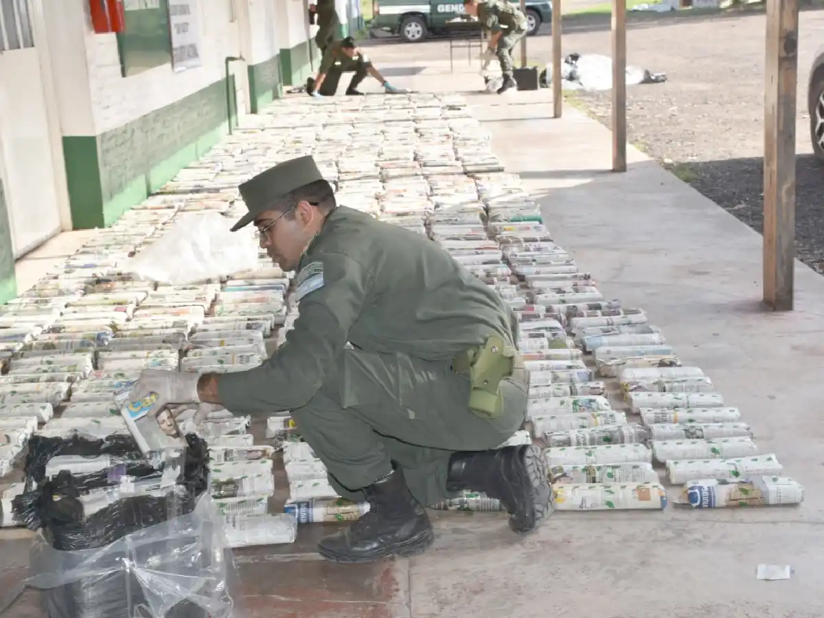 Gendarmería secuestró 447 kilos de hojas de coca en San Cristóbal